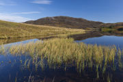Loch Tarff, South Loch Ness