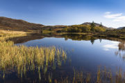 Loch Tarff, South Loch Ness