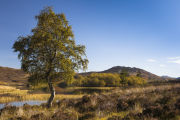 Loch Tarff, South Loch Ness