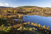 Loch nam Faoileag, Culnakirk above Drumnadrochit, Loch Ness