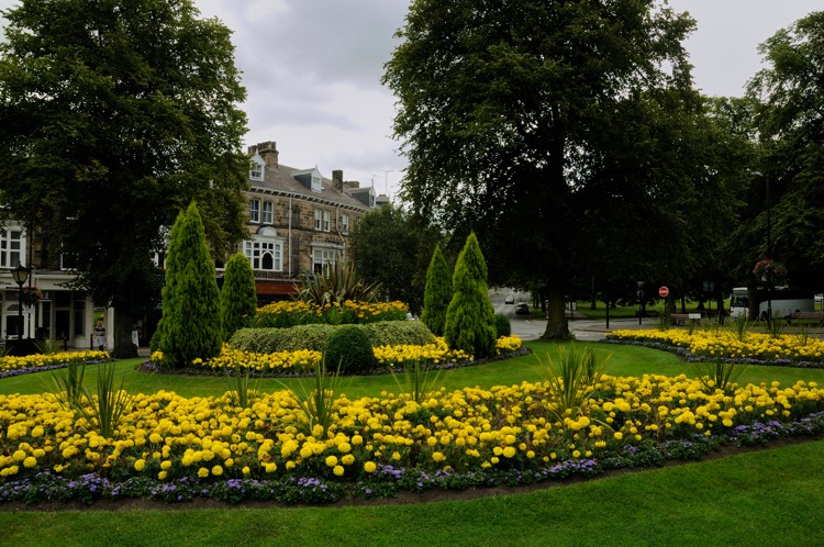 Floral display