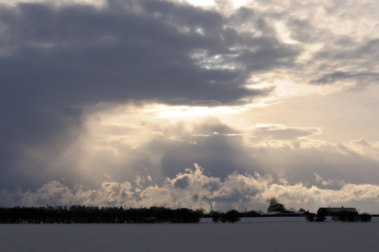 A winter's day in Holderness