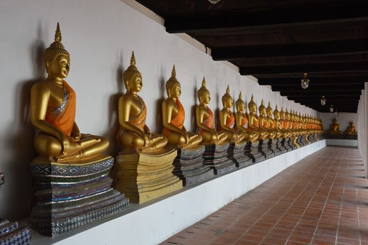 Seated statues of the Buddha