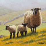 Hillside Lambs