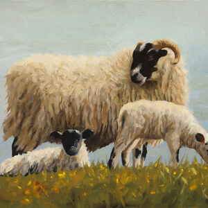 Lambscape No. 3