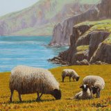 Coastal Sheep