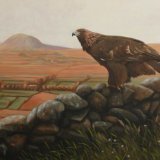 Golden Eagle
