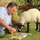 Watching the progress