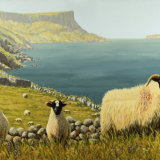 Fair Head and Rathlin Island