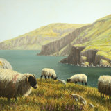 Looking south from Torr Head