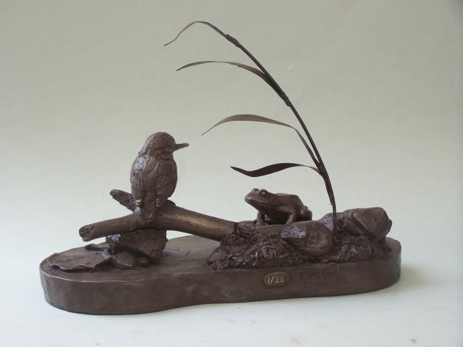 Frog ,Young Kingfisher From the back