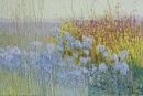 Scamptston perennial meadow