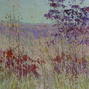 Study for Helenium & Monarda
