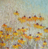 Rudbeckia goldsturm