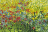 Hot Summer Border