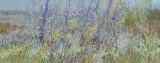 Perennial Meadow