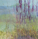 Persicaria