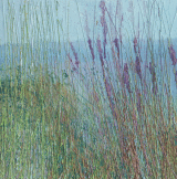 Persicaria in long grass