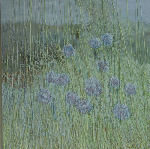Meadow Grasses and Scabious