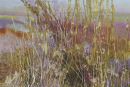 Pensthorpe