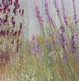 Sanguisorba & Persicaria