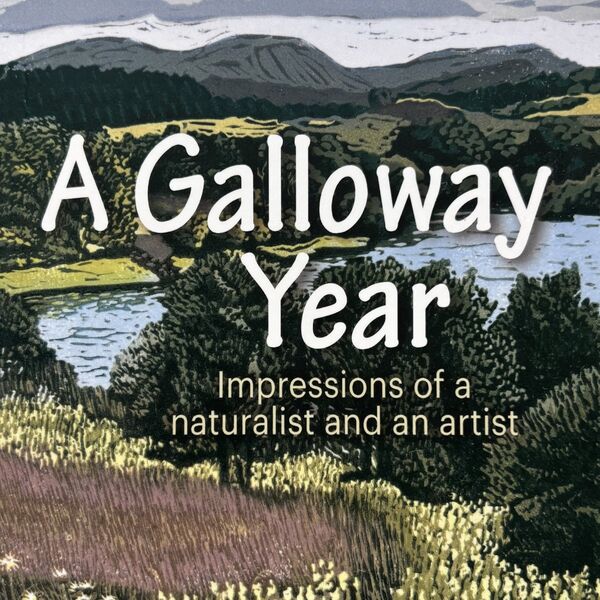 A Galloway Year 