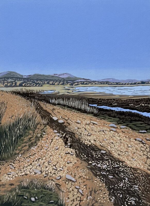 High Tideline at Balcary Bay, Galloway