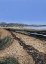 High Tideline at Balcary Bay, Galloway