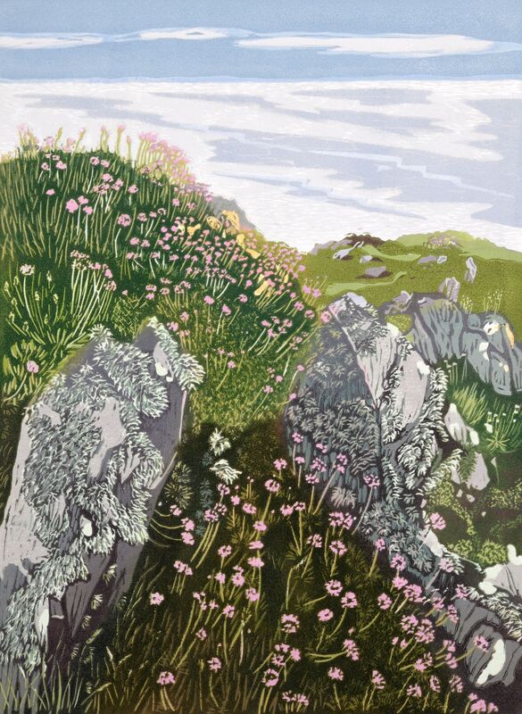 Sea Pinks on the Cliff Tops, Solway Coast