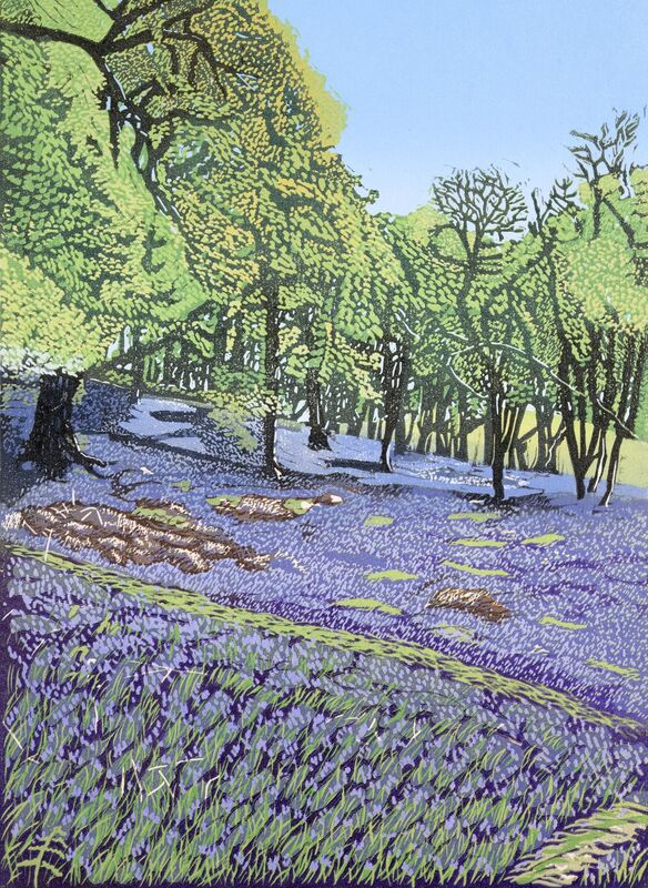 The Ancient Bluebell Woods