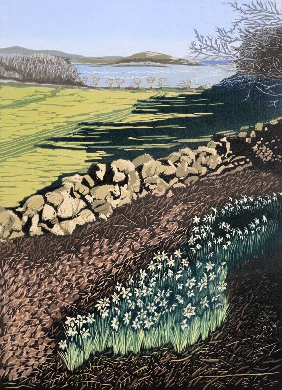 Springtime On The Solway, Galloway