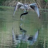 untitled-6