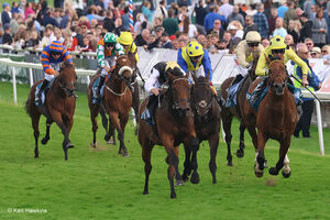 York Ebor Meeting 2024
