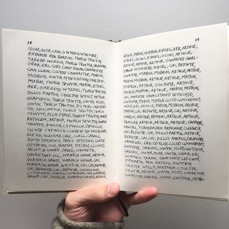 I Made These Words Into A Fist