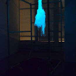 Only Reads Backwards