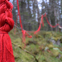 Spun From Without (detail)