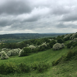 The Onwards - second day of the walk