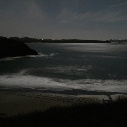 The Words Come From the Land