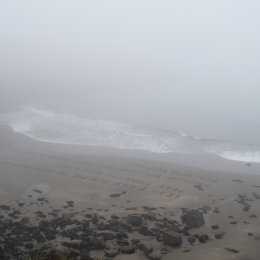 The Words Come From the Land