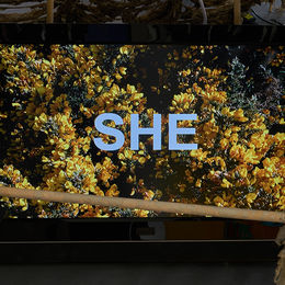 Let's Take It All Back (Walk to Sea)