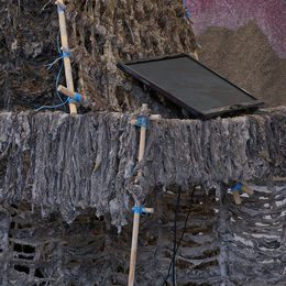 Let's Take It All Back (detail)