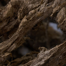 Let's Take It All Back (detail)