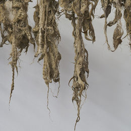 Let's Take It All Back (detail)