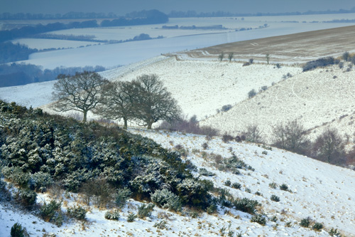Church Bottom in Winter