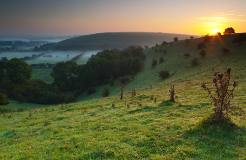 Dawn Bowerchalke