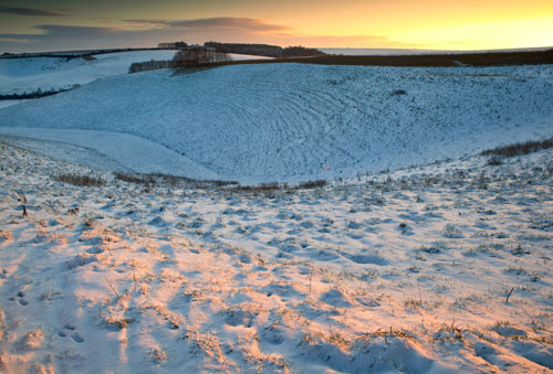 Dawn Middleton Hill