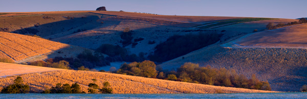 Early Morning frost Win Green pan