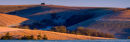 Early Morning frost Win Green pan