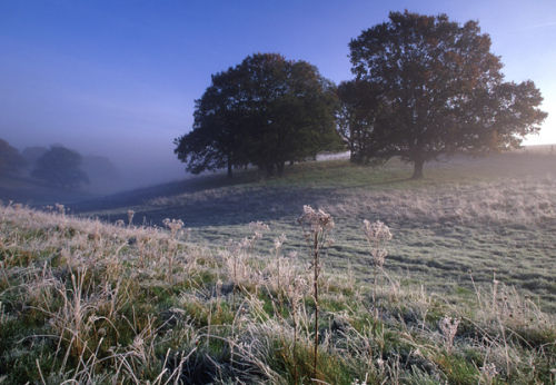 Frosty Morning Middleton Down