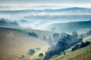 Clearing Mist in the Chalke Valley